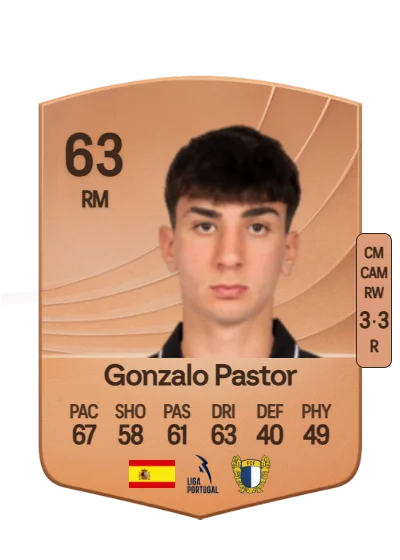 Gonzalo Pastor Sánchez card