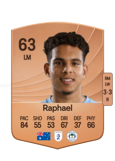 Raphael Borges Rodrigues card