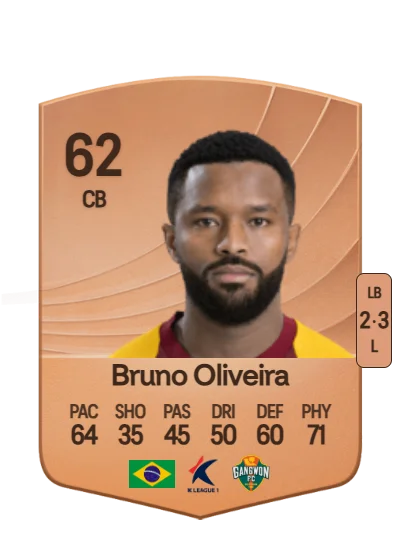 Bruno de Oliveira Souza card