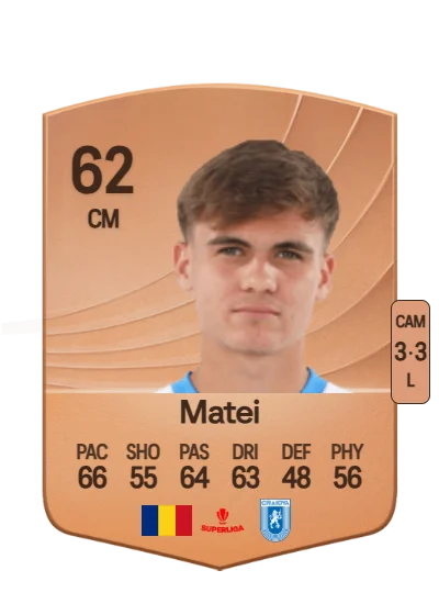 David Matei card