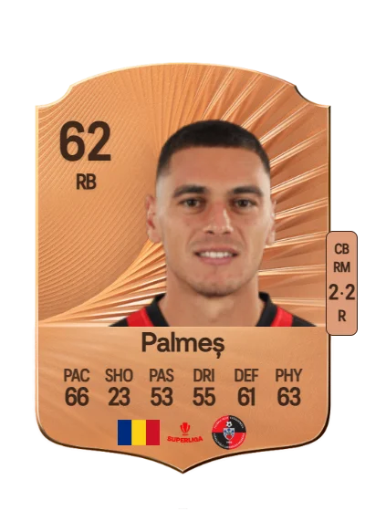 Raul Palmeș card