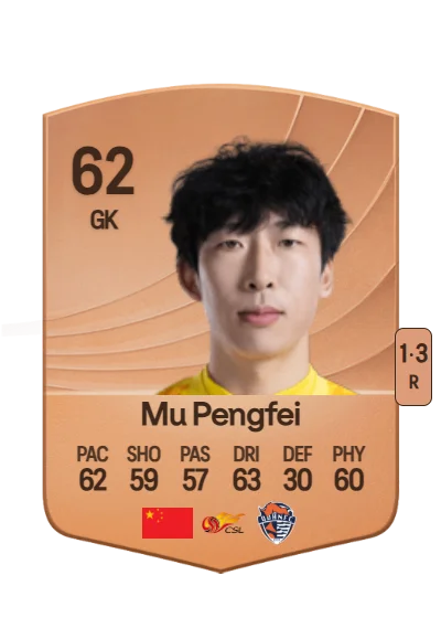 Pengfei Mu card