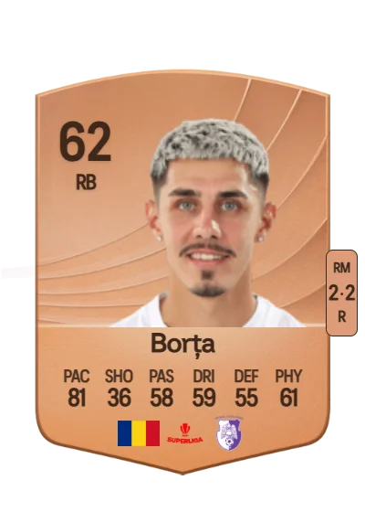 Florin Borța card