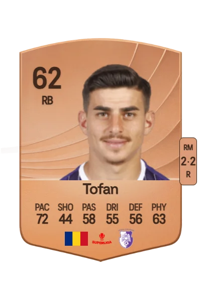Costinel Tofan card