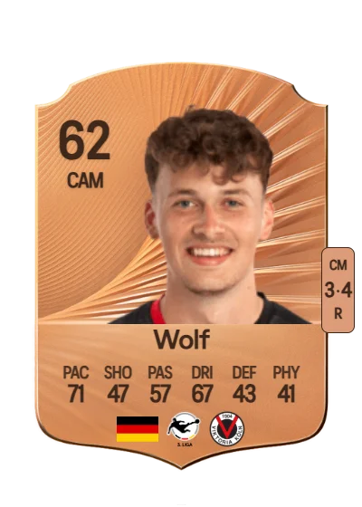 Lucas Wolf card