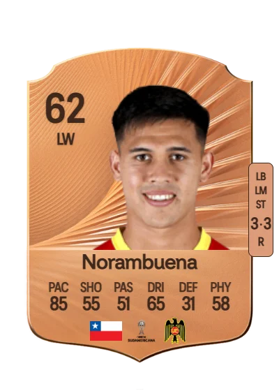 Gabriel Norambuena card