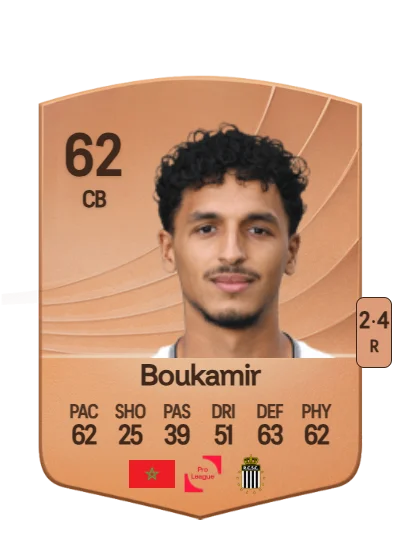 Mehdi Boukamir card