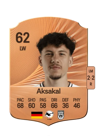 Ensar Aksakal card