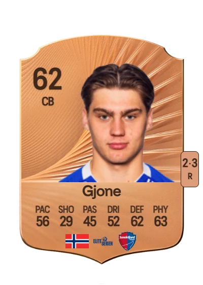 Martin Gjone card