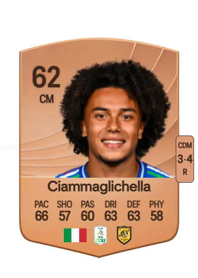 Aaron Ciammaglichella card