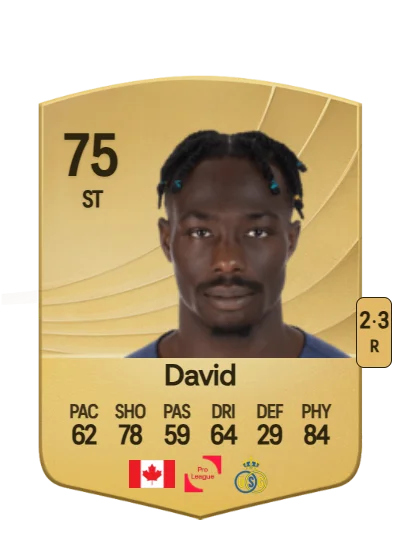 Promise David card