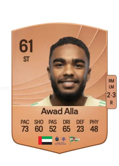 Mohamed Awad Alla card