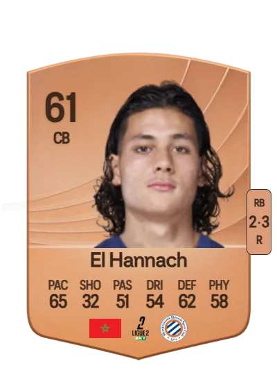 Naoufel El Hannach card