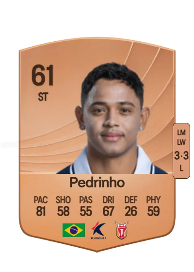 Pedro Ferreira card
