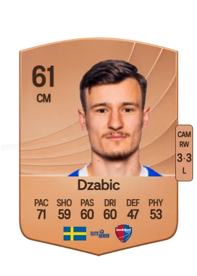 Robin Dzabic card