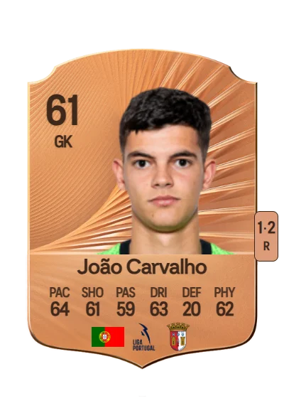 João Gonçalo Carapinha Carvalho card