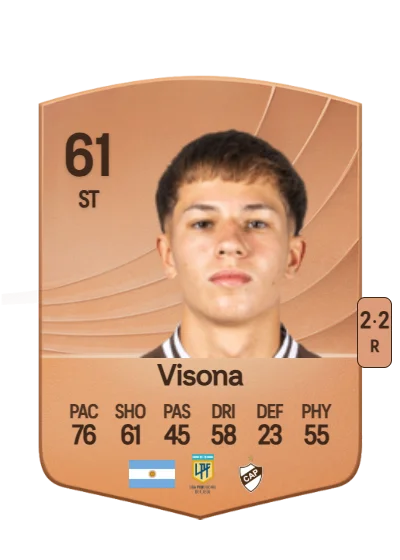 Ivo Visona card