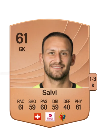 Mirko Salvi card
