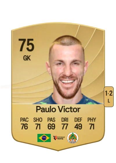 Paulo Victor Mileo Vidotti card