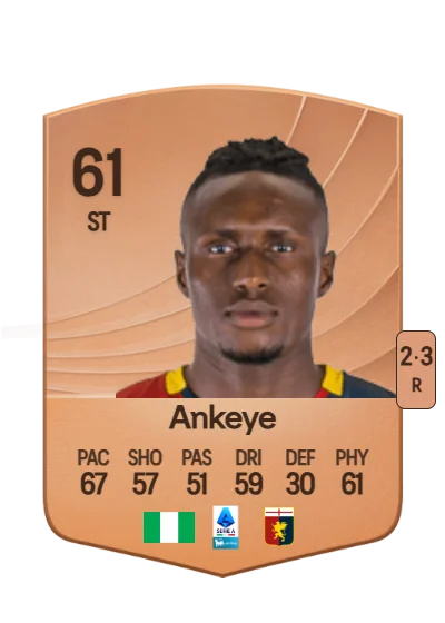 David Ankeye card