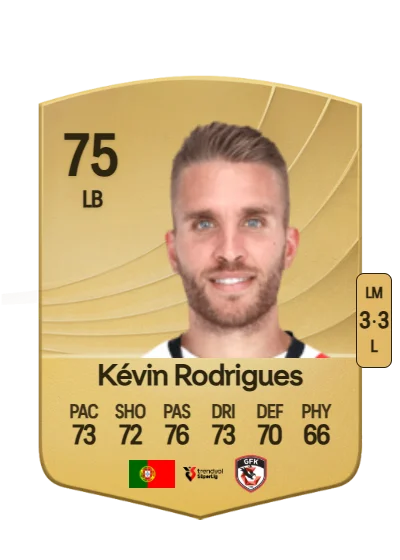 Kévin Manuel Rodrigues card