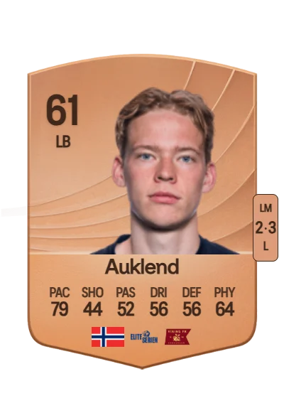 Vetle Auklend card