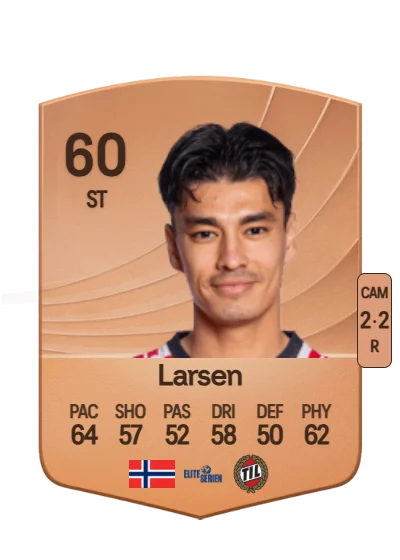 Heine Åsen Larsen card
