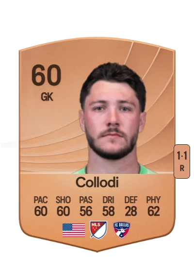 Michael Collodi card