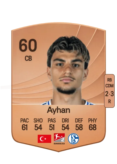 Mertcan Ayhan card
