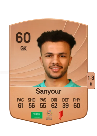 Meshari Sanyour card