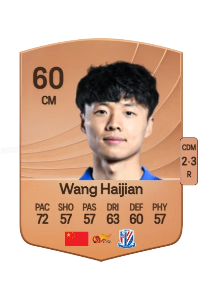 Haijian Wang card
