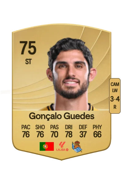 Gonçalo Manuel Ganchinho Guedes card