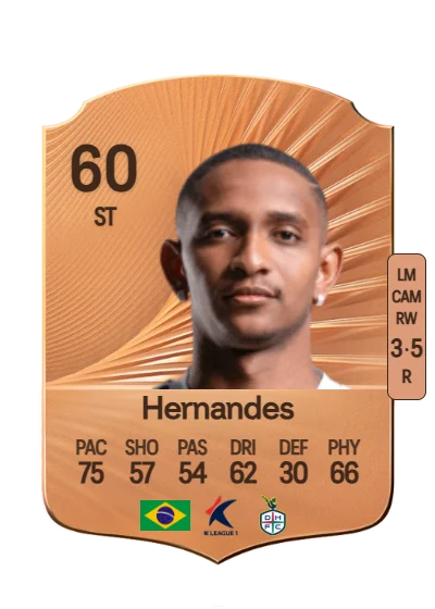 Hernandes Rodrigues da Silva card