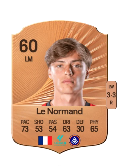 Théo Le Normand card