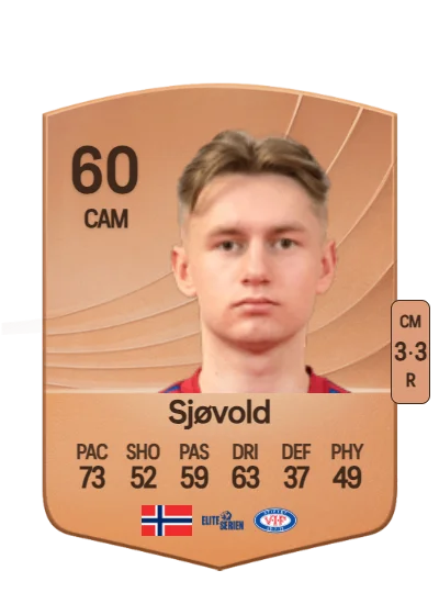 Stian Sjøvold card