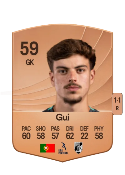 José Guilherme Ribeiro card