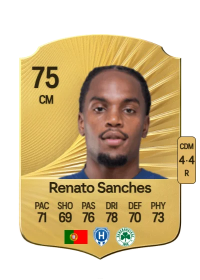 Renato Júnior Luz Sanches card