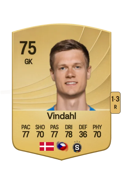 Peter Vindahl card