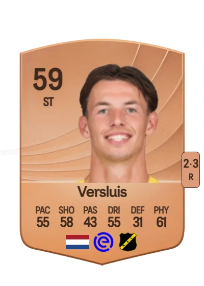 Dion Versluis card