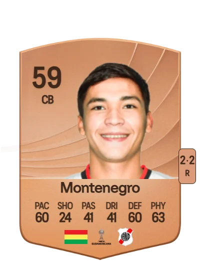 Leonardo Montenegro card