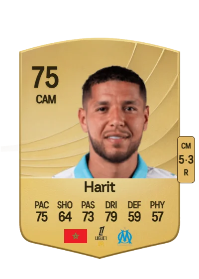 Amine Harit card