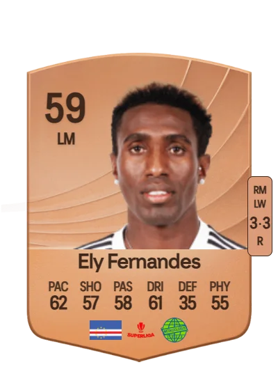 Ely Ernesto Lopes Fernandes card