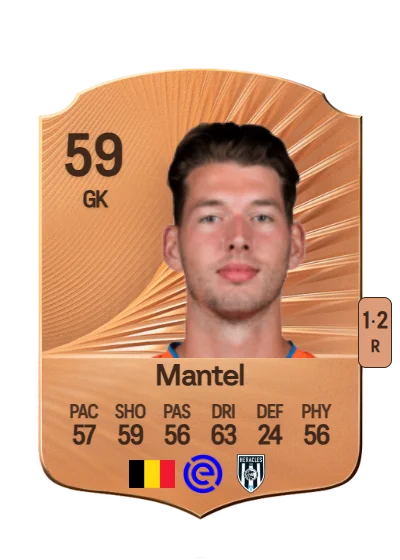 Robin Mantel card
