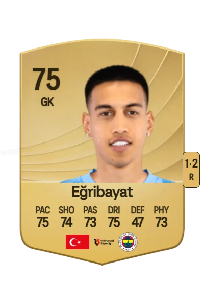 İrfan Can Eğribayat card