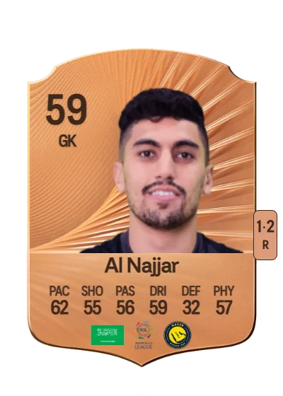 Raghid Al Najjar card
