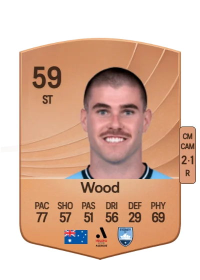 Patrick Wood card