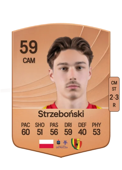 Miłosz Strzeboński card