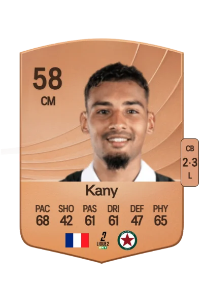 Vincent Kany card