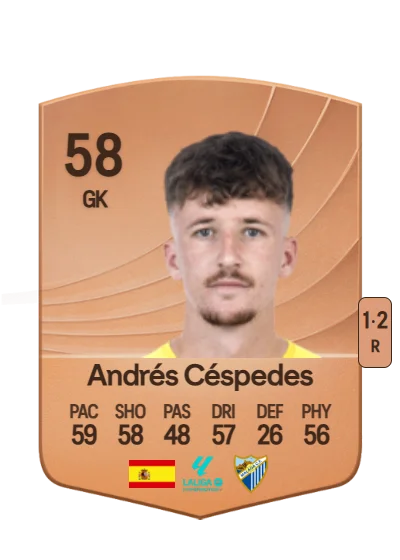 Andrés Céspedes Rubio card