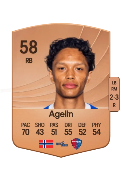 Theodor Martin Agelin card